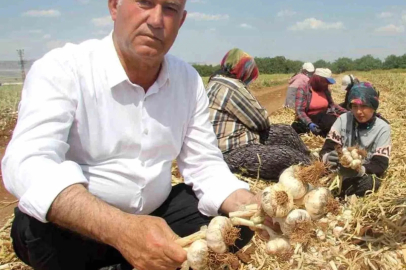Hasan Altun’dan ’Toprak Bayramı Haftası’ kutlama mesajı
