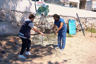 Didim Belediyesi deniz kaplumbağalarının yuvalama alanlarını koruma altına aldı
