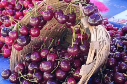 Tekirdağ’da kiraz fiyatları düşüşe geçti: 250 TL’den 150-100 TL bandına geriledi
