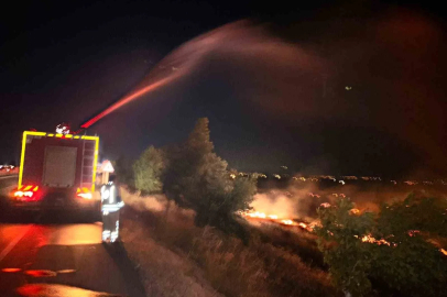 Hatay’da anız yangını zeytinliğe sıçradı: 200 dönüm arazi zarar gördü
