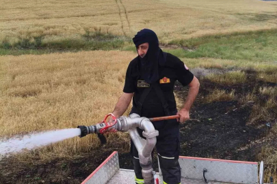 Silvan’da 2 dönümlük ekili alan kül oldu
