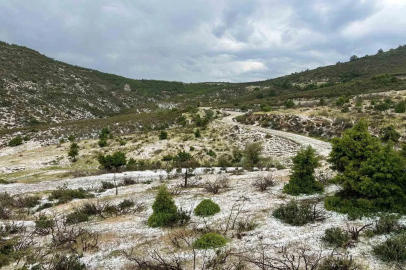 Uşak’ın yüksek kesimlerinde dolu yağışı etkili oldu
