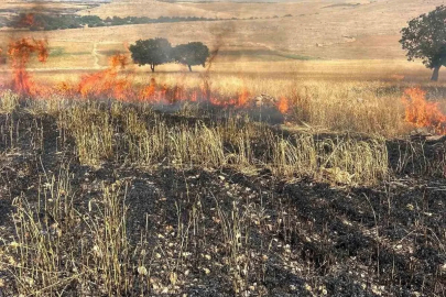 Çınar’da tarla yangını
