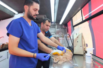 Balıkesir’de Can Dost 18 bin sokak hayvanına sağlık hizmeti verdi
