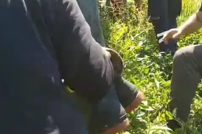 Kiraz toplamak için çıktığı ağaçtan düştü
