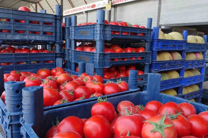 Sebze halindeki domatesin fiyatı 15 TL’ye düştü
