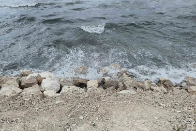 Dalgalar Van Gölü sahilini dövdü
