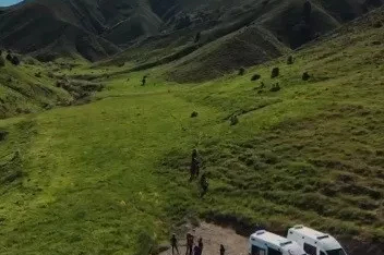 Mantar toplamaya giden 3 kişiye ayı saldırdı
