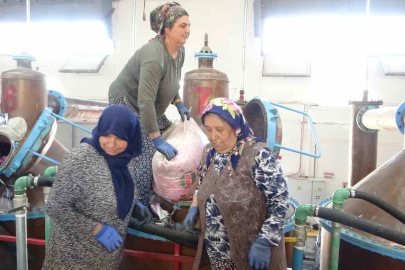 Isparta’nın pembe hazinesi: 4 ton gülden elde edilen yağın kilosu 12 bin avroya alıcı buluyor
