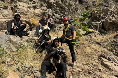 Kayalık alanda mahsur kalan oğlaklar itfaiye ekibince kurtarıldı
