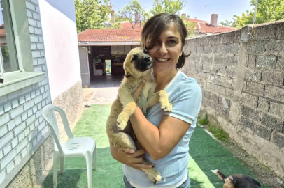 İki gönüllünün şefkat eli yüzlerce sokak hayvanına ulaşıyor
