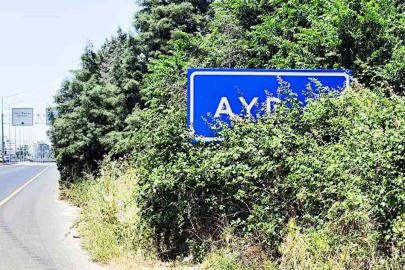 Karayolu üzerindeki Aydın tabelası çalılar arasında kaldı

