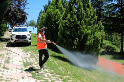 Elazığ’da ilaçlama çalışmaları aralıksız sürüyor
