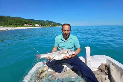 Türkeli’de nadir görülen kötek balığı avlandı
