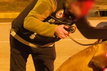 Isparta’da narkotikten bir haftada 18 operasyon, 3 tutuklama
