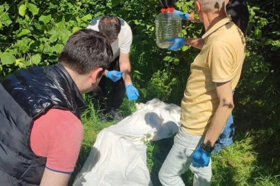Kahverengi kokarcaya karşı samuray arısı seferberliği
