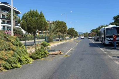 Alanya’da alkollü sürücünün kullandığı midibüs refüjü aşıp karşı şeride geçti

