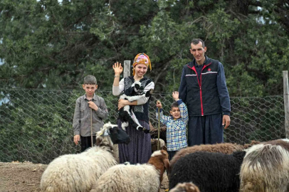 Mersin’de bir koyun alamayan aile sürü sahibi oldu
