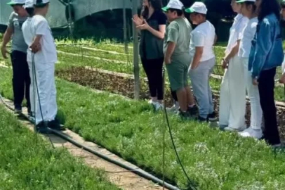 Elazığ’da öğrenciler doğayla buluştu
