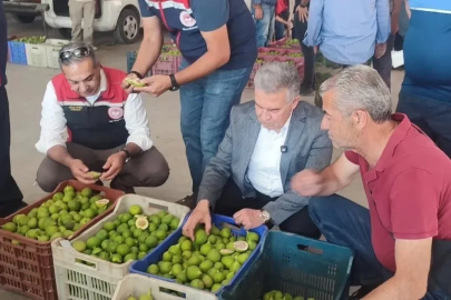 Buharkent’te ilekler, tezgahta incelendi
