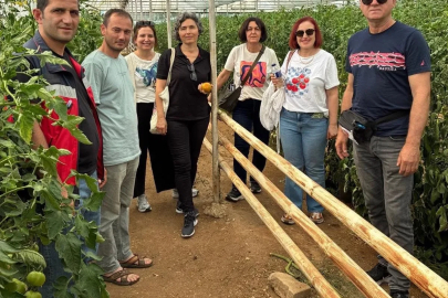 Simav’daki seracılara domates hastalıkları ve zararlıları eğitimi
