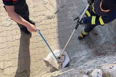 Siirt’te 1 buçuk metrelik yılan evin bahçesinden çıktı
