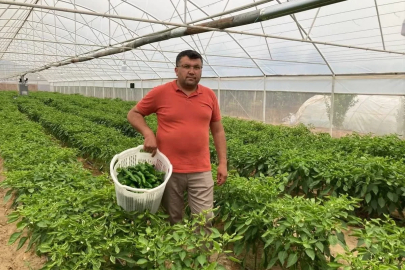 Lezzeti fiyatını unutturuyor
