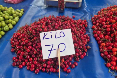 Festivalde 300 liraydı, pazarda 70 liraya düştü

