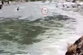 Çayda kaybolmuştu, akıntıya kapıldığı anlar kameraya yansıdı
