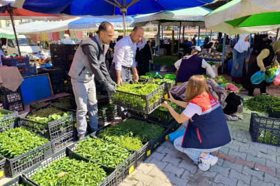 Pazarlarda satılan tohum ve fideler kontrol edildi
