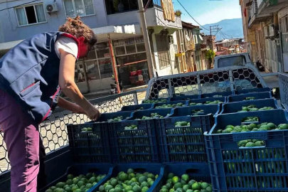 Bozdoğan’da İlek denetimleri aralıksız sürüyor
