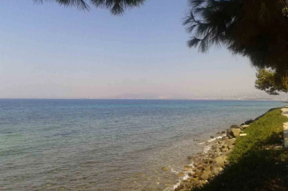Kuşadası’nda deniz suyu kalitesi yüz güldürdü
