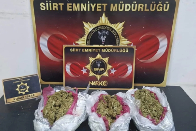 Siirt’te aranan 33 şahıs yakalandı, çok sayıda suç unsuru ele geçirildi
