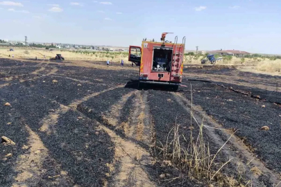 Mardin’de 40 dönüm buğday ekili alan yangında zarar gördü
