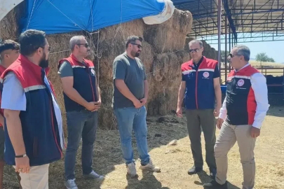 Çine’de üreticiye 30 baş etçi düve desteği
