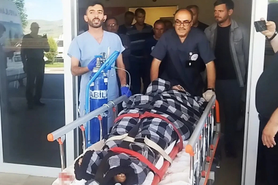 Hayvanlarını otlatırken ayı saldırısına uğradı, Kangallar imdadına yetişti
