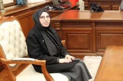 Vali yardımcıları ve kaymakamlar kararnamesi yayınlandı
