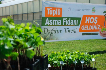 TOGÜ’den üreticiye bağcılık desteği
