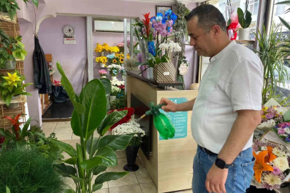 Yaz aylarında çiçek bakımında bunlara dikkat
