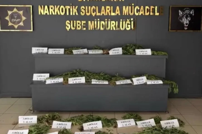 UNESCO Dünya Mirası Listesi’ndeki Hevsel Bahçeleri’nde uyuşturucu ele geçirildi
