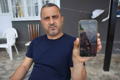 Çukura düşen dikenli kirpiyi kurtaran doğaseverin yürek ısıtan iyiliği sosyal medyada ilgi odağı oldu
