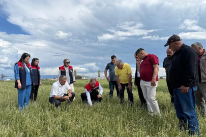 Dolu vurdu, ekipler sahaya indi: Kars’ta hasar tespit çalışmaları sürüyor
