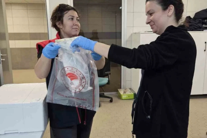 Söke’de ihraç edilecek su ürünlerine sıkı denetim
