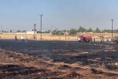 Şanlıurfa’da çıkan yangında 60 dönüm buğday ekili alan zarar gördü
