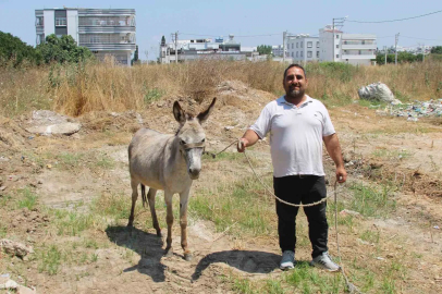 Adanalılar eşeklerin sahibini arıyor
