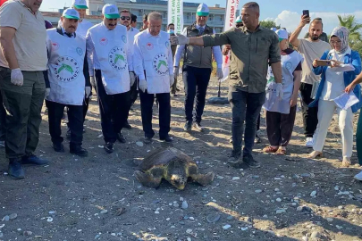 Tedavisi tamamlanan 3 deniz kaplumbağası yeniden denizle buluştu
