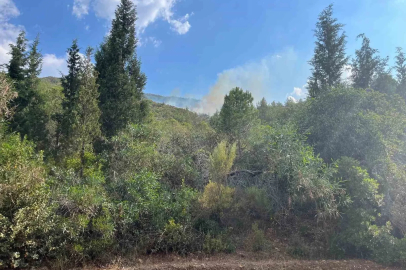 Marmaris’te yıldırım kaynaklı orman yangını
