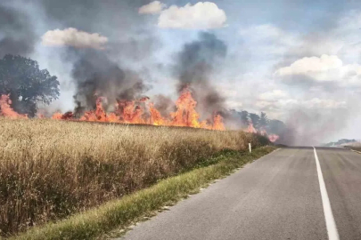 Edirne’de üzüm bağında başlayan yangın 200 dekarlık alanı küle çevirdi
