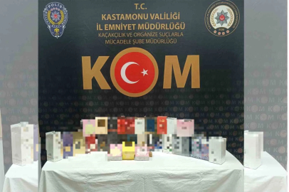 Kastamonu’da kaçakçılık operasyonu
