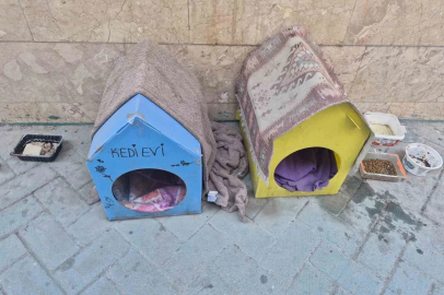 Kediler için yaptığı evler için vicdanlara seslendi, "Lütfen dokunmayalım"
